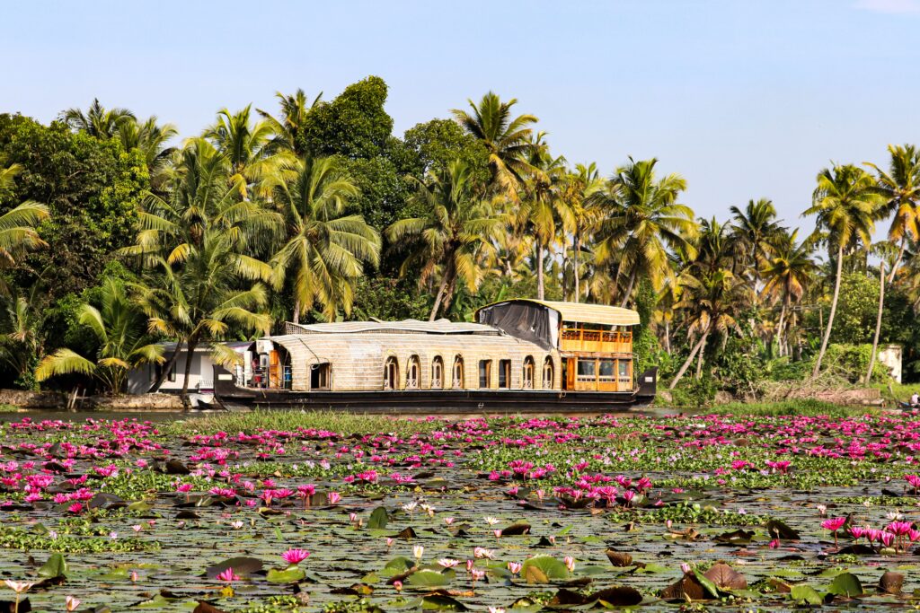 Kerala Wellness Practices: A Journey to Natural Health, Inner Peace, and Holistic Living Scenic view of a traditional houseboat on Vembanad Lake surrounded by blooming lotus flowers and palm trees.